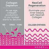 NeoCell Collagen Powder with Biotin, Vitamin C & Hyaluronic Acid, Collagen Type 1 & 3, Beauty Infusion Promotes Beautiful Skin, Healthy Hair & Nail, Gluten Free, Tangerine, 11.64 Oz