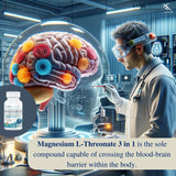 (150 Capsules), 2,253mg Per Serving, Providing 420mg Elemental Magnesium, L-Threonate, Bisglycinate Chelate, Malate, for Brain, Sleep, Stress, Cramps, Headaches, Energy, Heart from Kappa Nutrition.