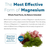 Organic Magnesium | Whole Food Magnesium - Plant-Based, Organic Sea Vegetable Complex - 250 mg Magnesium Per Serving | Water Extracted | Gentle on Stomach | Energy, Sleep, Muscle, Heart - 60 Capsules