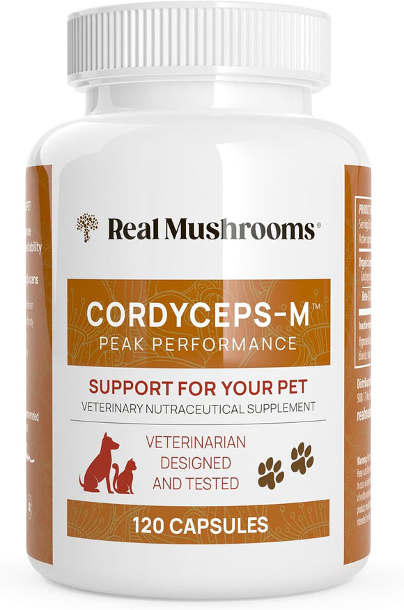 [READY] Real Mushrooms Cordyceps Pet Support Mushroom Supplement (120ct) Cat & Dog Vitamins and Supplements for Performance, Energy, & Vitality - Vet Approved Mushroom Powder Capsules Grain-Free, Non-GMO