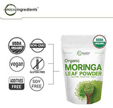 Moringa Powder Organic (Moringa Oleifera Leaf Powder), 1 Pound (16 Ounce), Rich in Natural Antioxidants, Immune Vitamin and Minerals for Green Drinks, Smoothie and Cookie, Sun Dried and Vegan Friendly
