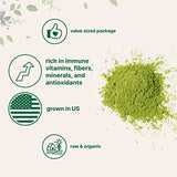 Micro Ingredients Organic Barley Grass Powder, 20 Ounce (1.25 Pounds), Rich Fibers, Immune Vitamins, Minerals, Antioxidants and Protein, Support Immune System and Digestion Function, Vegan