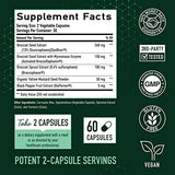 20MG Sulforaphane | from Broccoli Sprouts & Seed Extract | 565MG Microbeadlet Complex | 26MG of Glucoraphanin + Myrosinase | Complete NRF2 Activator, Antioxidant & Cellular Health Supplement | 60 Ct.