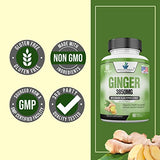 Ginger Root Capsules Organic 3850mg, Ginger Powder, Ginger Supplements, Ginger Pills, Ginger Extract, Ginger Root, Immune Support, Alternative to Ginger Chews, 90 Veg Capsule