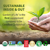 Garden of Life Raw Organic Perfect Food Green Superfood Juiced Greens Powder Original Stevi Free, Non-GMO, Gluten Free, Dietary Supplement, 60 Servings, 14.6 oz