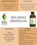 SVA ORGANICS Pine Needle Essential Oil Large Size 4 OZ (118 ML) Therapeutic Grade, 100% Pure Premium Grade Oil for Skin and Hair Care
