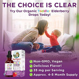 Elderberry Syrup for Toddlers by MaryRuth's | USDA Organic | Black Elderberry Liquid Drops for Immune Support | Sambucus Elderberry for Overall Health | Vegan | Non-GMO | Gluten Free | 128 Servings