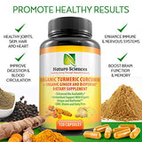 Organic Turmeric Supplement Curcumin Extract with BioPerine (Black Pepper Extract) and Ginger Powder Naturo Sciences 120 Capsules
