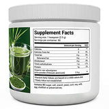 Dr. Berg's Wheatgrass Superfood Powder - Raw Juice Organic Ultra-Concentrated Rich in Vitamins & Nutrients - Chlorophyll & Trace Minerals - 60 Servings - Gluten-Free Non-GMO - 5.3 oz (1 Pack)