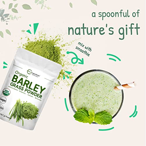 Micro Ingredients Organic Barley Grass Powder, 20 Ounce (1.25 Pounds), Rich Fibers, Immune Vitamins, Minerals, Antioxidants and Protein, Support Immune System and Digestion Function, Vegan