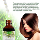 Rosemary Essential Oils (2 Pack), Rosemary Oil for Hair Growth Organic, Pure Natural, Reduce Hair Loss, Deeply Nourishing Scalp, Improves Blood Circulation, Rosemary Hair Growth Oil, Aromatherapy