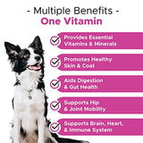 PetHonesty 10 in 1 Dog Multivitamin - Glucosamine Essential Dog Supplements & Vitamins - Glucosamine Chondroitin, Probiotics, Omega Fish Oil - Dogs Health & Heart- Dog Health Supplies (Chicken)
