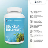 Dr. Berg's Sea Kelp Enhanced - Pure Healthy Thyroid Support Natural Antioxidants & Iodine Supplement w/ Organic Sea Kelp, Blue-Green Algae & Red Algae - Immune System & Metabolism Support 90 Capsules