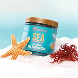 Mielle Organics Sea Moss Anti-Shedding Curl Gel Hair Masque