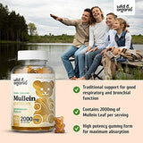 Wild & Organic Mullein Gummies - Daily Dietary Supplement for Respiratory, Digestive Support & Immune Booster - Vegan, Non-GMO Verbascum Thapsus Herbal Extract - 2000mg, 60 Chews