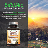 Certified Organic Ceylon Cinnamon (Made with Organic Ceylon Cinnamon) 1800mg - Organic Sri Lanka Ceylon Cinnamon Powder Caps - Made in USA - Best Vegan Blood Sugar Support Supplement (120 Capsules)