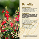 HERBAMAMA Red Sage Capsules - Organic Dan Shen Root (Salvia Miltiorrhiza) Extract Supplement to Support Heart Health, Blood Flow & Circulation - Antioxidant-Rich, Non-GMO - 1200mg, 100 Vegetarian Caps