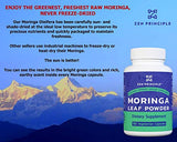 2 Pack (360 Capsules) Organic Moringa Oleifera, Ultra-Premium. Provides an All Natural Energy Boost and Multi-Vitamin. A Raw Superfood, Vegan, No GMO and Gluten Free