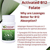 2 Bottles of Activated B12 Folate 60 lozenges · High Potency L-5-MTHF and Methylcobalamin · by Adaptogen Research Pharmaceutical Grade