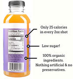 The Twisted Shot | Organic Apple Cider Vinegar Shots with Turmeric, Ginger, Cinnamon, Honey & Cayenne | Immunity Boost | Wellness | Digestive Aid | Improve Metabolism | Detox | 16oz Bottle