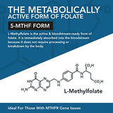 L Methyl Folate 15mg Plus Methyl B12 Cofactor – Organic, Berry Flavor, Professional Strength, Liquid Sublingual, Active 5-MTHF Form - Supports Mood, Homocysteine Methylation, Cognition (60 Servings)