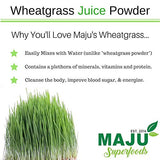 Organic Wheatgrass Juice Powder: Grown in Volcanic Soil, No High Temperatures Used, Non-GMO, Instant Juice Powder, Simply The Best on Earth
