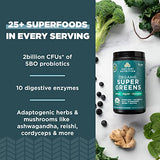 Ancient Nutrition Super Greens Powder, Organic Superfood Powder with Probiotics Made with Spirulina, Chlorella, Matcha, and Digestive Enzymes, 25 Servings, 7.5oz