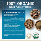 Organic Triphala Veggie Capsules – USDA Organic Certified | 100% Natural Herbal Supplement | Supports Healthy Digestion | Natural Antioxidant | Ayurveda | 60 Easy Swallow Vegetarian Pills
