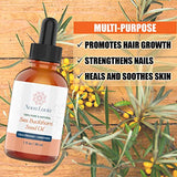 100% Pure Natural Sea Buckthorn Oil Extracted from High Altitude Himalayas, Exquisite Single Ingredient Multi Purpose No Chemicals, Hydrating Face Oil, Skin Moisturizer , Hair Oil, Anti Aging Nail Oil, Compare With Organic Oil Seabuckthorne Oil 1 oz
