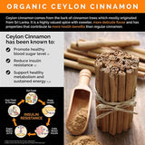 5-in-1 Organic Ceylon Cinnamon Capsules 2355mg with Apple Cider Vinegar, Turmeric, Ginseng Root Capsules, Bioperine Supplement (120 Count (Pack of 3))