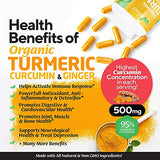 Wellixir Organic Turmeric Supplement – Curcumin with Bioperine Capsules with Ginger Root Extract, Curcumin and Turmeric for Joint Health – 95% Curcuminoids Formula