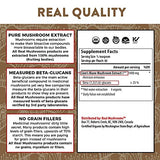 Real Mushrooms Lions Mane Powder (60 Servings) | Vegan, Gluten-Free, Organic Lions Mane Extract | Support Cognitive and Immune Health | Scientifically Verified for Active Compounds
