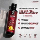 InnoSupps Volcarn 2000 - Liquid L-Carnitine, Boost Energy, Caffeine Free, No Artificial Sweeteners, 32 Servings (Candy Peach Rings)