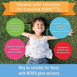 MaryRuth's Kids Multivitamin Gummies | Sugar Free | 2 Month Supply | Kid & Toddlers Age 2+ Daily Multivitamin: Vitamin C, D3, Zinc | Kids Vitamins | Only 1 Gummy Per Day | 60 Ct (60 Day Supply)