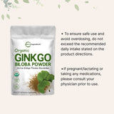 Micro Ingredients Raw Organic Ginkgo Biloba Powder, 8 Ounce (18 Months Supply), Filler Free, Supports Brain Function and Mental Alertness, No GMOs and Vegan Friendly