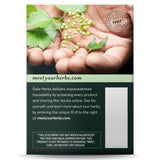 Gaia Herbs Herbal Tea Sleep & Relax Caffeine-Free, 16 Tea Bags