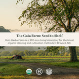 Gaia Herbs, Lions Mane Mushroom, 40 Count