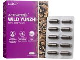 LAC ACTIVATED™ Wild Yunzhi® (60 vegicaps)
