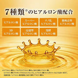 [Direct from Japan] Rohto Hada Labo Gokujun Premium Hydrating Cream 50g | Made in Japan